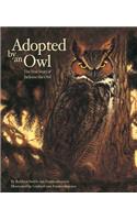 Adopted by an Owl