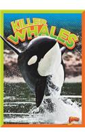 Killer Whales