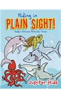 Hiding in Plain Sight! Hidden Pictures Activity Book: (English)