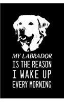 My Labrador is the reason I wake up every morning: Blank Lined Journal Notebook, 6" x 9", labrador journal, labrador notebook, Ruled, Writing Book, Notebook for labrador lovers, national labrador day