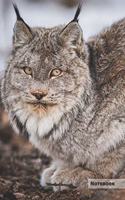 Lynx Notebook