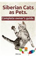 Siberian Cats as Pets. Siberian Cats