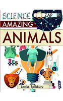 Amazing Animals