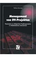 Management Von DV-Projekten