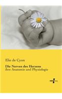 Nerven des Herzens