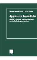 Aggressive Jugendliche