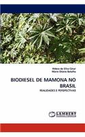 Biodiesel de Mamona No Brasil