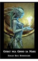 Gubat Nga Ginoo Sa Mars: Warlord of Mars, Cebuano Edition
