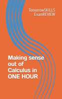 Making sense out of Calculus in ONE HOUR