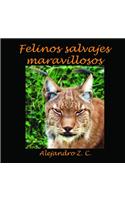 Felinos Salvajes Maravillosos