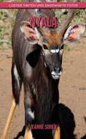 Nyala: Lustige Fakten und sagenhafte Fotos