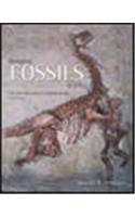 Bringing Fossils To Life: An Introduction To Paleobiology