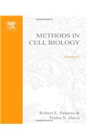 Centrosomes and Spindle Pole Bodies