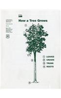 How a Tree Grows