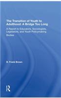 The Transition Of Youth To Adulthood: A Bridge Too Long