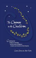 Cosmos in the Cauldron