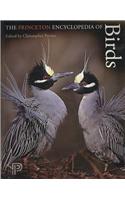 The Princeton Encyclopedia of Birds