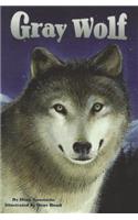 Gray Wolf