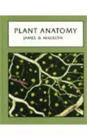 PLANT ANATOMY