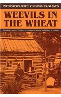 Weevils in the Wheat