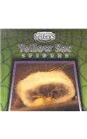 Yellow Sac Spiders