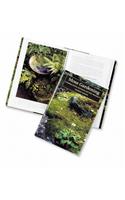 Moss Gardening: Including Lichens, Liverworts, and Other Miniatures