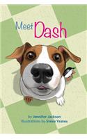 Meet Dash