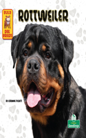 Rottweiler: (Bully Dog Breeds)