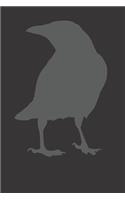 Notebook: Crow Raven Blackbird Bird Gift Dot Grid 6x9 120 Pages