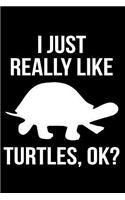 I Just Really Like Turtles, Ok?