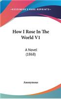 How I Rose In The World V1: A Novel (1868)