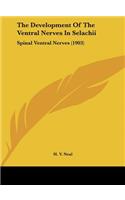The Development of the Ventral Nerves in Selachii