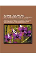 Yunan Taslaklar