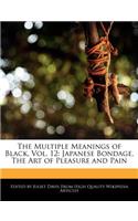 The Multiple Meanings of Black, Vol. 12