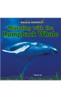 Migrating with the Humpback Whale