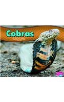 Cobras