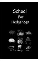 School for Hedgehogs