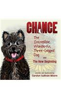 Chance, the Incredible, Wonderful, Three-Legged Dog and the New Beginning