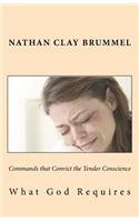 Commands that Convict the Tender Conscience: What God Requires