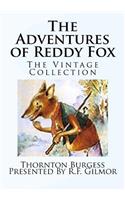 The Adventures of Reddy Fox