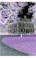 Paranormal Investigation Log