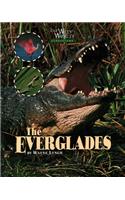Everglades