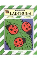 Lady Bugs