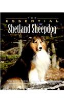 The Essential Shetland Sheepdog