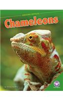 Chameleons