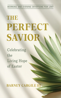 Perfect Savior