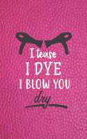 I Tease I Dye I Blow You Dry