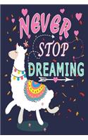 Never Stop Dreaming