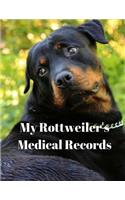My Rottweiler's Medical Records