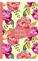 Peony Notebook: (3 Peony College Ruled Notebooks)